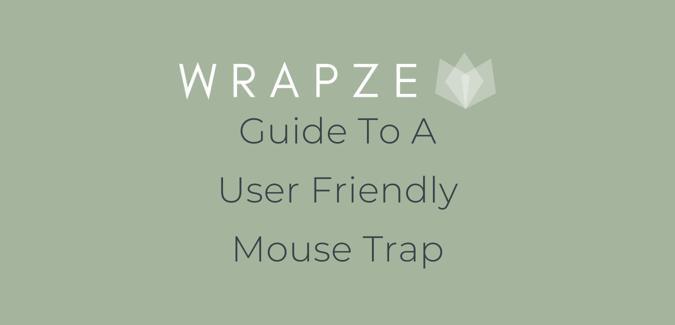 Guide To A User Friendly Mouse Trap